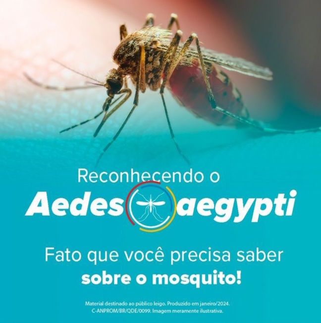 Brasil ultrapassa marca de 5 mil mortes por dengue — imagem 2